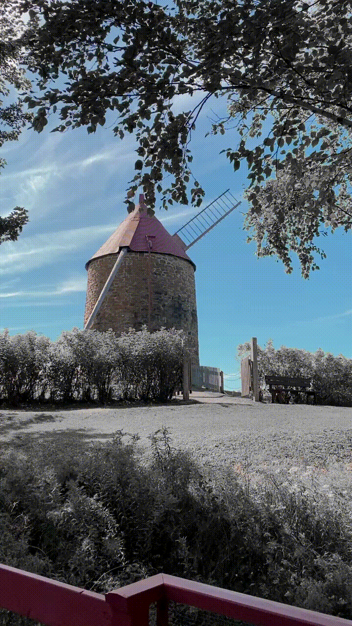 Douce nuance♫